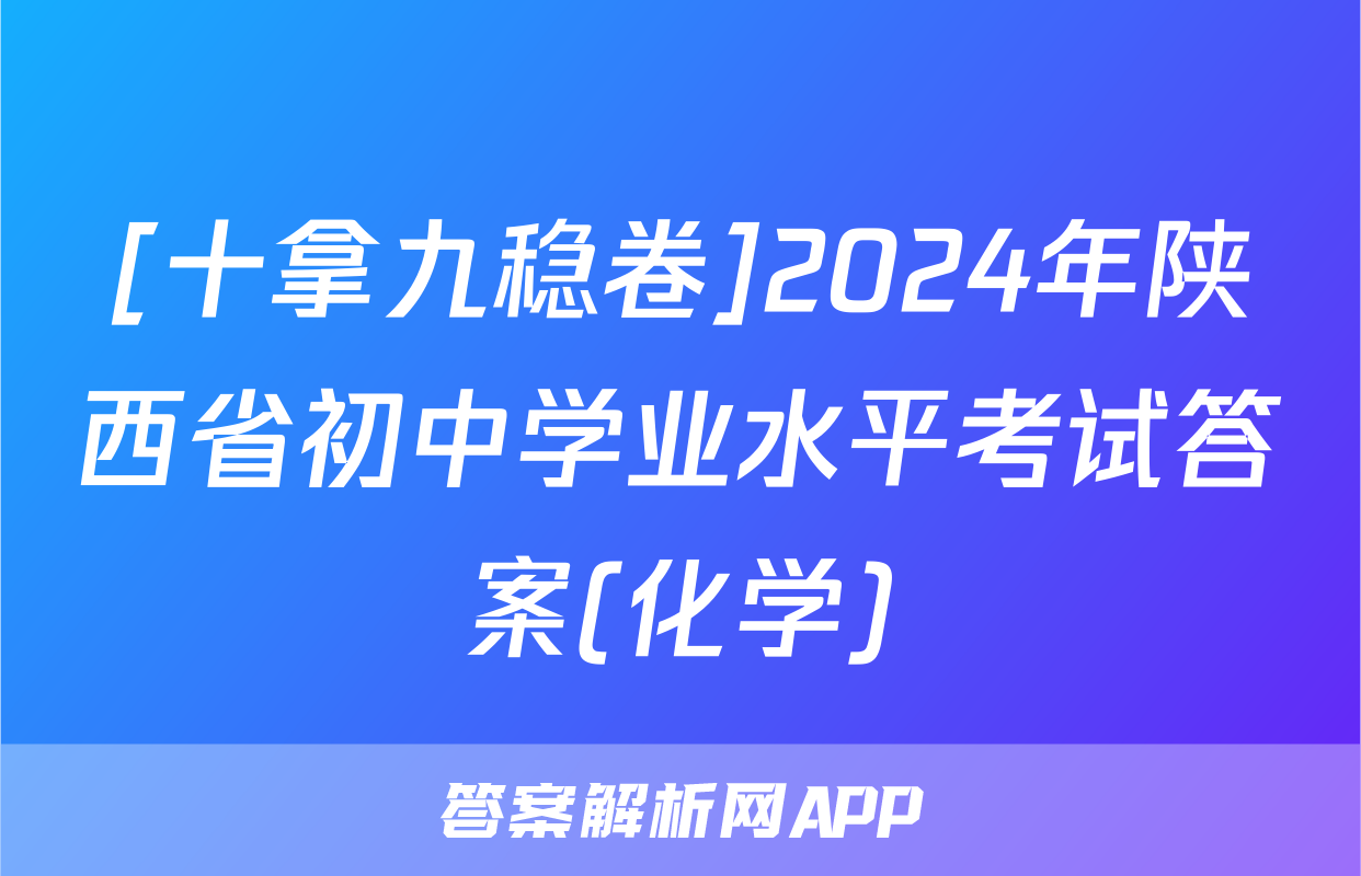 [十拿九稳卷]2024年陕西省初中学业水平考试答案(化学)