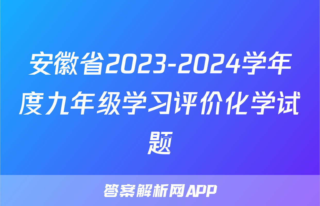 安徽省2023-2024学年度九年级学习评价化学试题