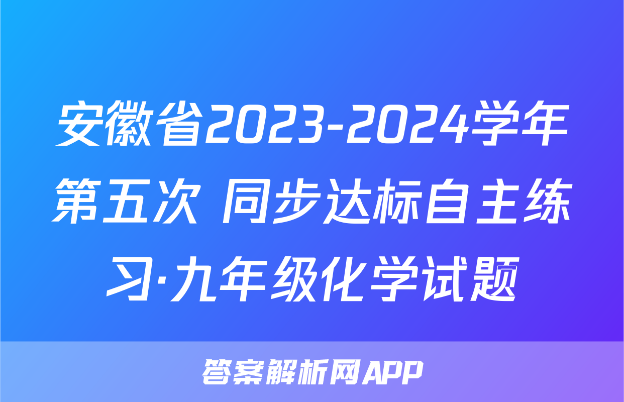 安徽省2023-2024学年第五次 同步达标自主练习·九年级化学试题