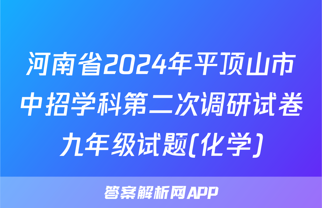 河南省2024年平顶山市中招学科第二次调研试卷九年级试题(化学)