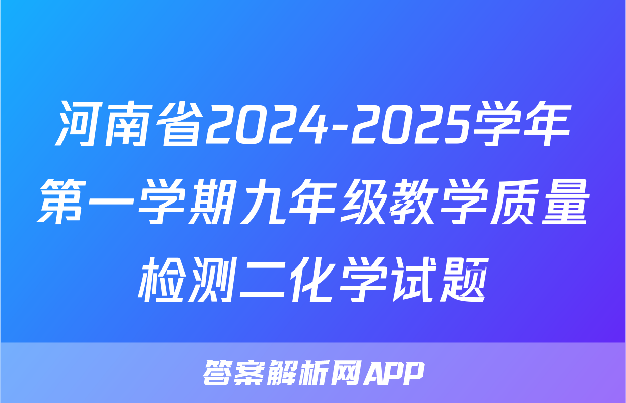 河南省2024-2025学年第一学期九年级教学质量检测二化学试题