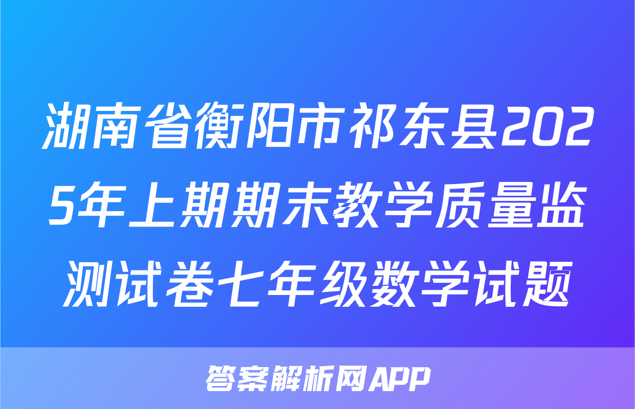湖南省衡阳市祁东县2025年上期期末教学质量监测试卷七年级数学试题