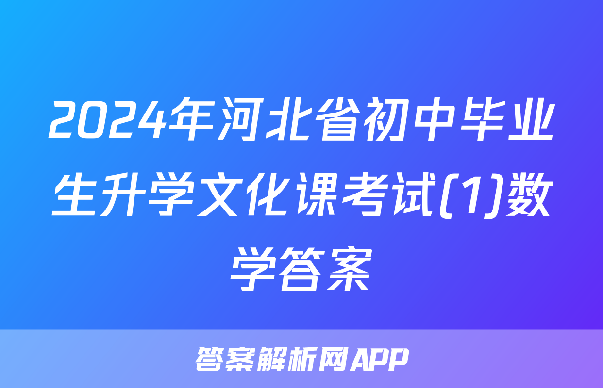 2024年河北省初中毕业生升学文化课考试(1)数学答案