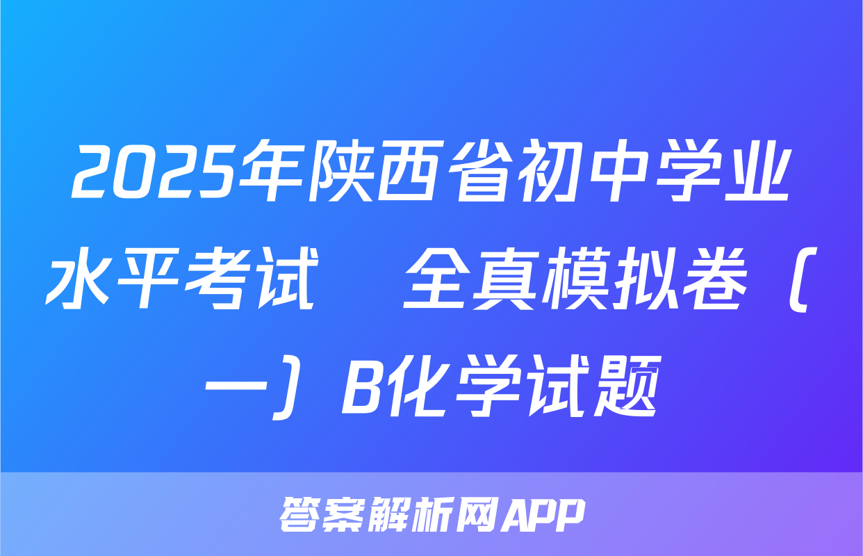 2025年陕西省初中学业水平考试•全真模拟卷（一）B化学试题